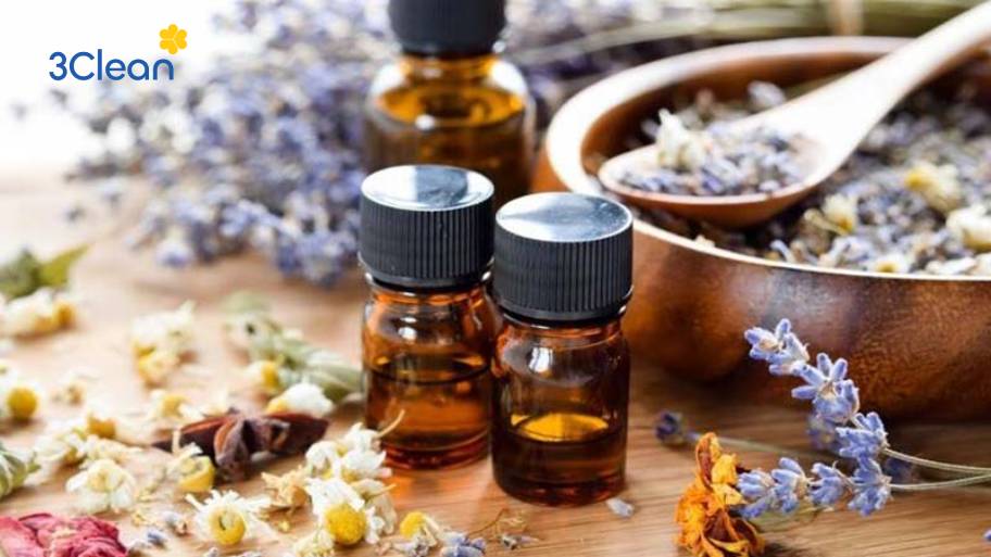 Mẹo khử mùi thuốc lá bằng tinh dầu