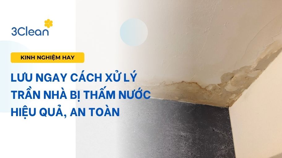 Lưu ngay cách xử lý trần nhà bị thấm nước hiệu quả, an toàn
