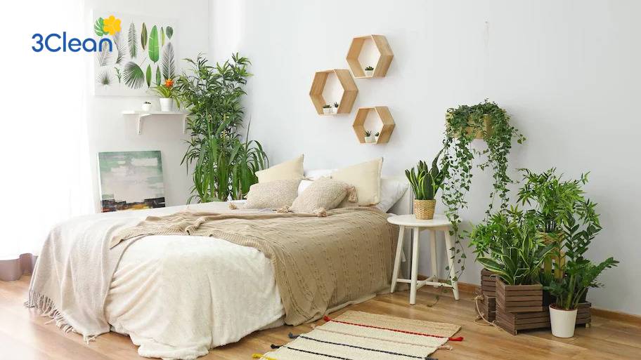 Cây xanh là “máy lọc không khí” tự nhiên