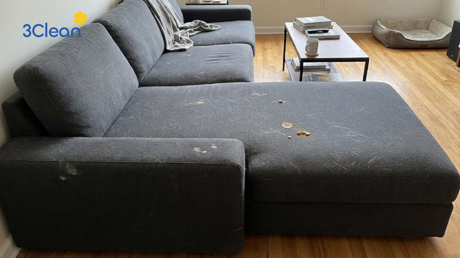 Việc vệ sinh ghế sofa định kì giúp xử lý sớm các vết bẩn còn mới