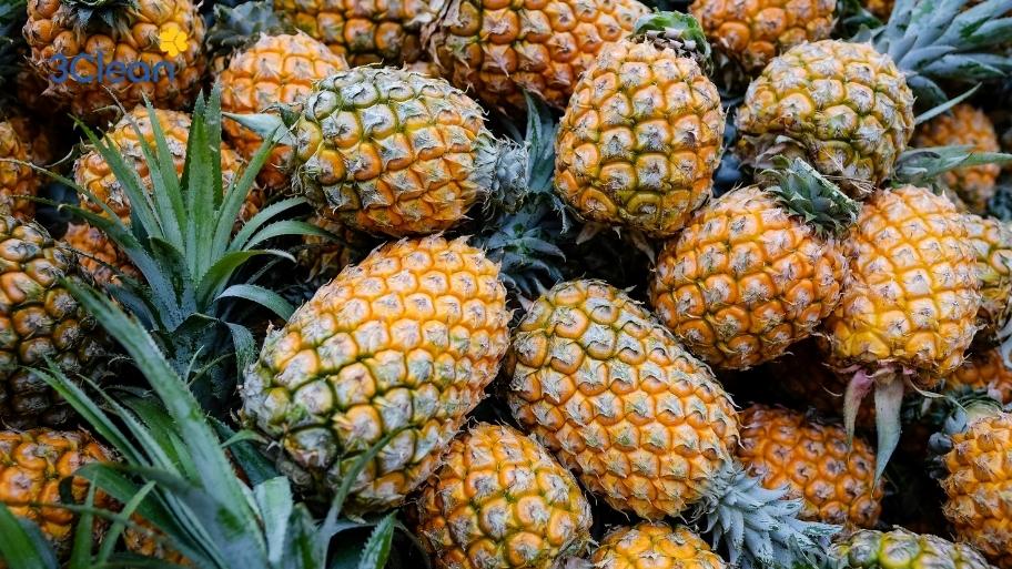 Lựa chọn độ tươi và kích thước phù hợp với vị trí muốn để khử mùi