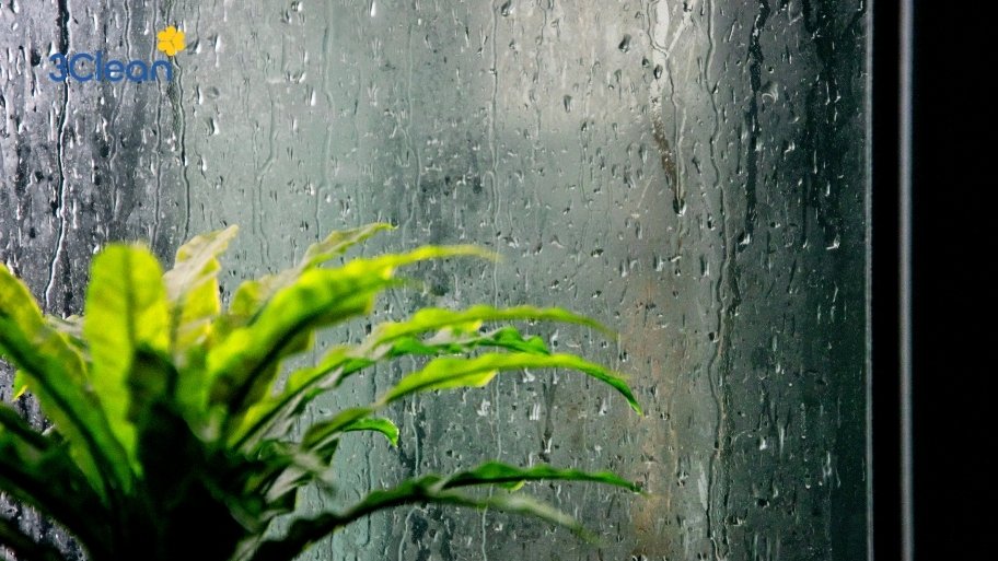 Thời tiết và độ ẩm cao cũng khiên căn phòng khách sẽ bị ám mùi ẩm lâu hơn