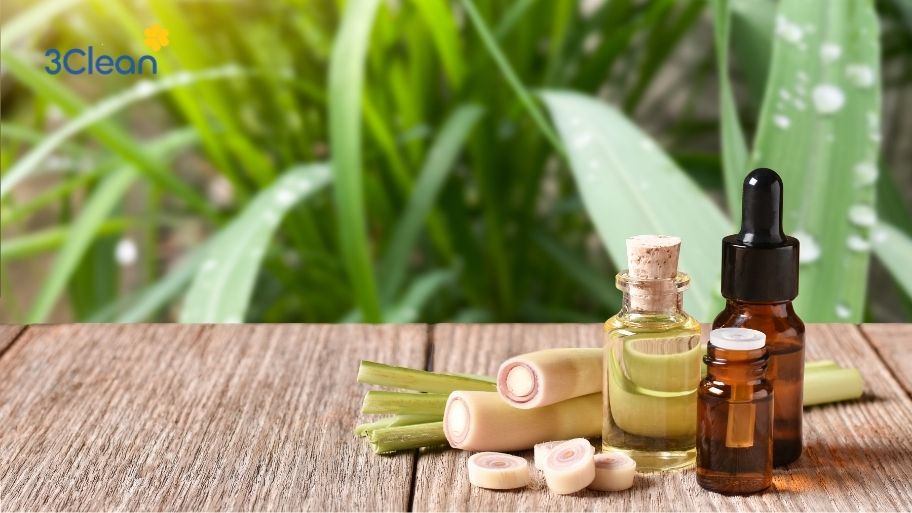 Sử dụng sả kết hợp với các loại thảo dược khác để mang lại không gian dễ chịu