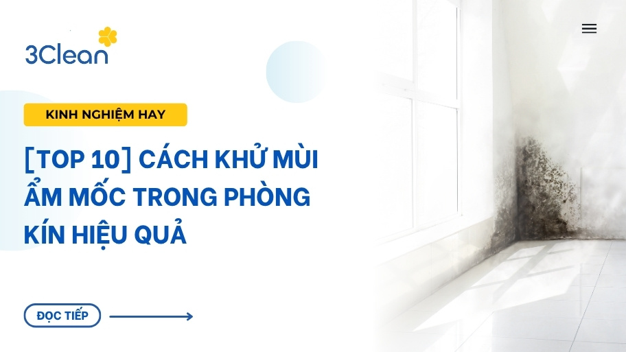 khử mùi ẩm mốc trong phòng kín