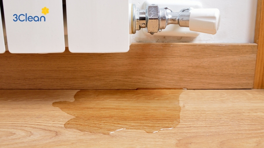 Kiểm tra các ống nước gần chân tường và đảm bảo không rò rỉ để không dẫn đến tình trạng ẩm mốc