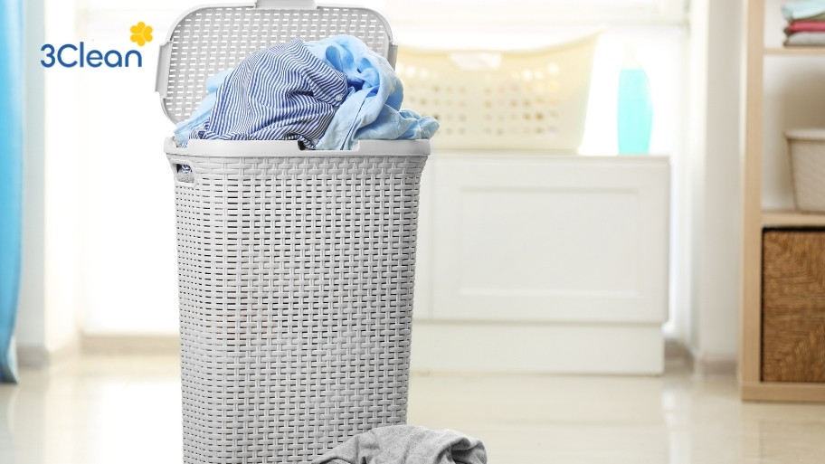Khi dọn dẹp quần áo khỏi giỏ bạn nên vệ sinh luôn giỏ để loại bỏ các mùi và các chất bẩn