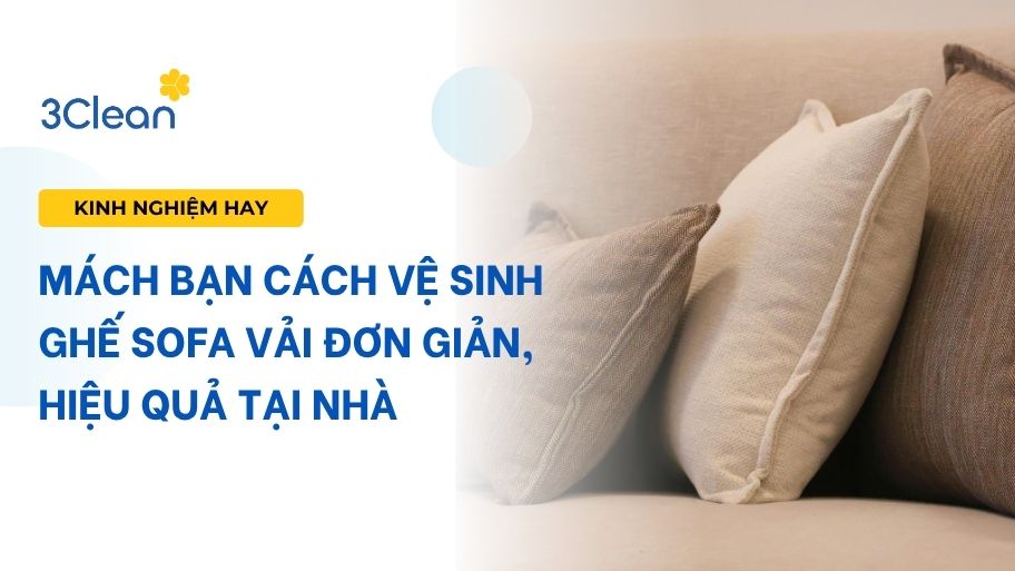 Mách bạn cách vệ sinh sofa vải đơn giản, hiệu quả tại nhà
