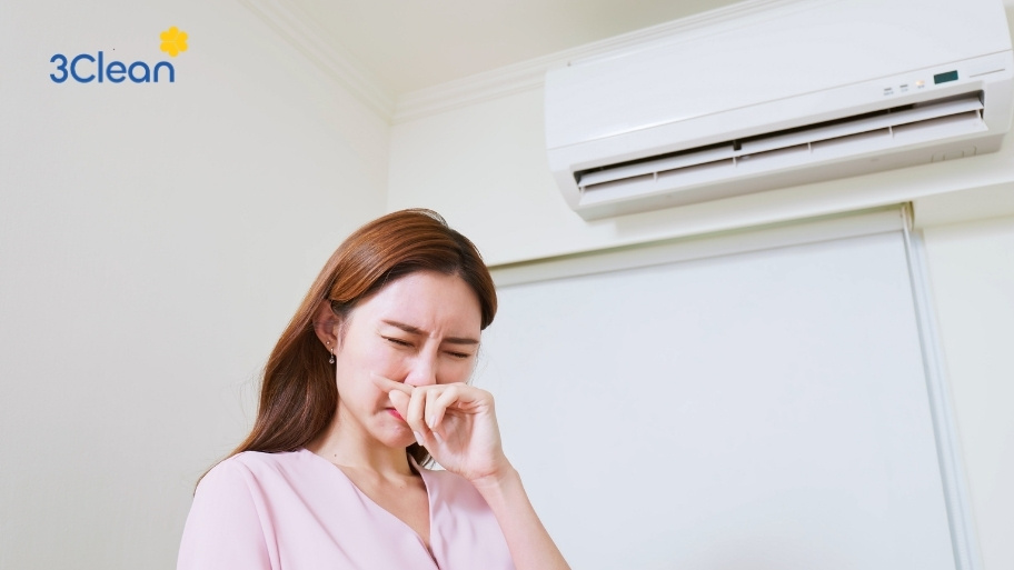 Dịch vụ giúp việc 3Clean cung cấp các gói giúp việc theo giờ định kỳ dành cho khách hàng
