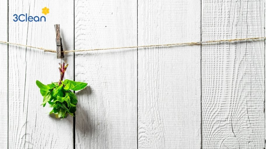 Phải kết hợp giữa việc vệ sinh định kỳ và phương pháp tạo hương để không gian sạch hơn