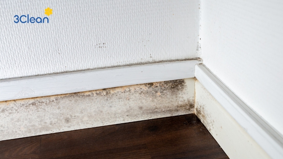 Các khu vực gần với ống nước có thể dễ bị rò rỉ và gây ra tình trạng ẩm mốc