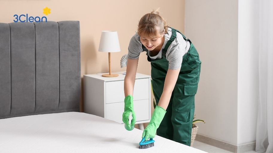3Clean cung cấp dịch vụ giúp việc theo giờ uy tín tại Đà Nẵng