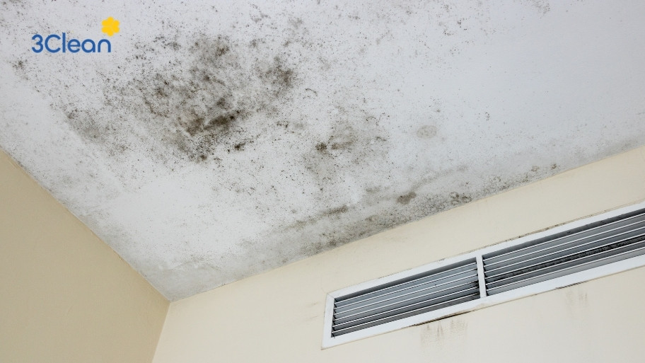Công ty 3Clean cung cấp dịch vụ giúp việc đình kỳ theo giờ phù hợp mọi gia đình