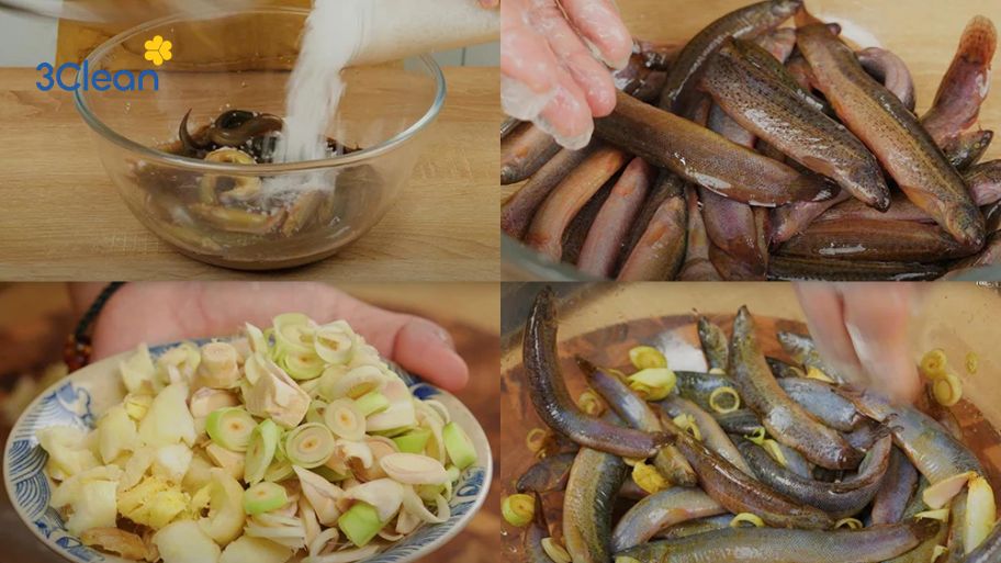 Bí quyết sơ chế cá chạch sạch nhớt, không tanh