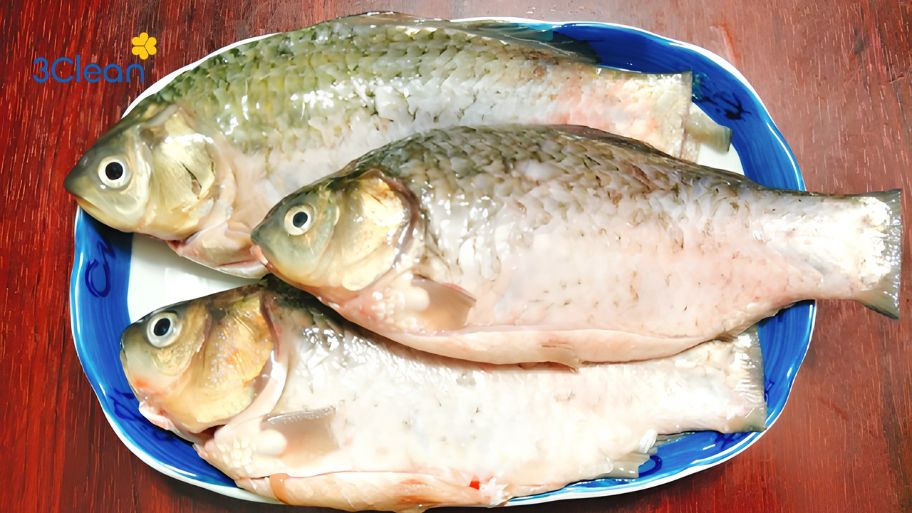 Cá diếc nấu gì ngon? Bật mí 5 cách chế biến hấp dẫn Bí quyết sơ chế cá diếc không bị tanh