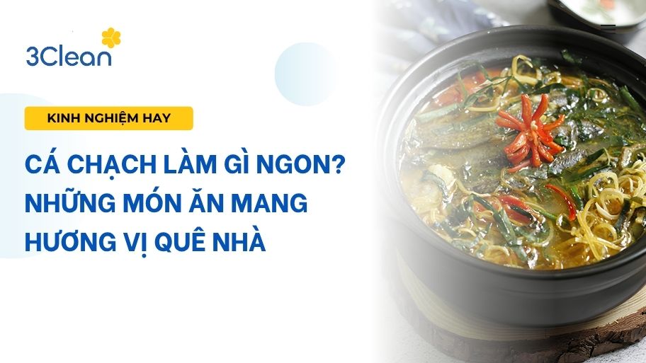 Cá chạch làm gì ngon? Những món ăn mang hương vị quê nhà