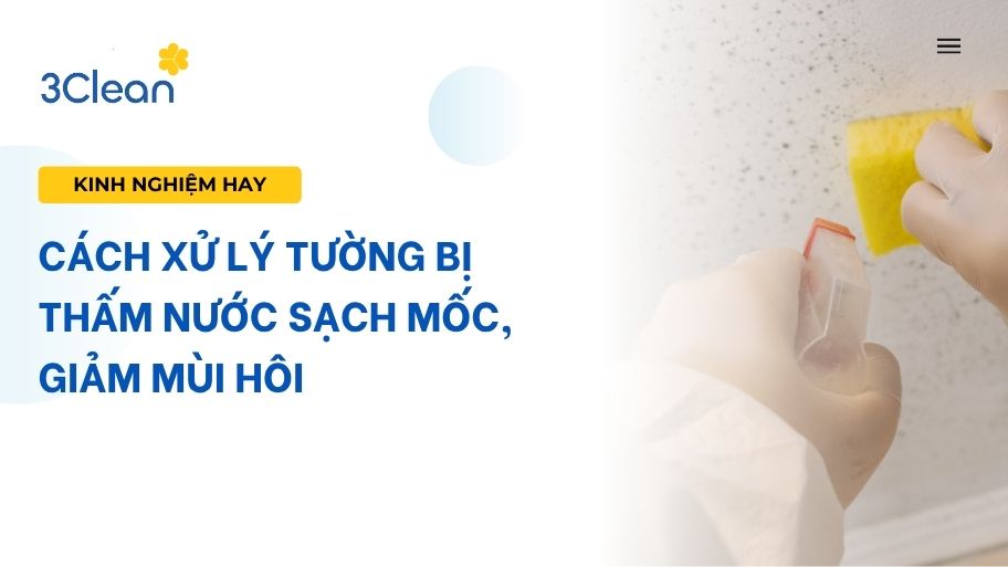 cách xử lý tường bị thấm nước