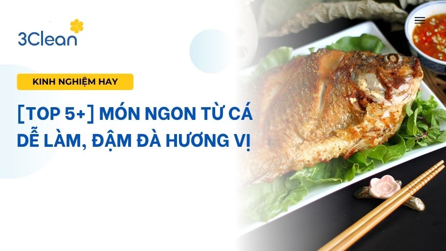[Top 5+] món ngon từ cá dễ làm, đậm đà hương vị