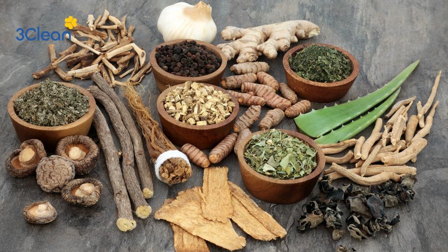 Tận dụng thảo mộc để tăng hương vị món ăn
